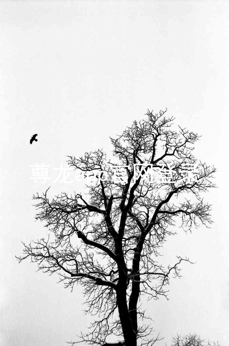 尊龙app官网登录